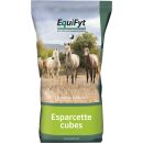 Equifyt Sainfoin Cubes (Esparsettecobs)